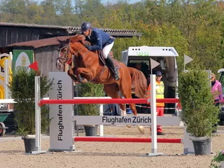 Pferd Exciting WS